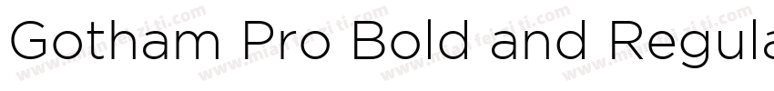 Gotham Pro Bold and Regular字体转换